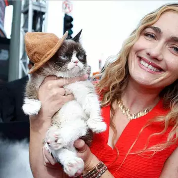 Grumpy Cat, pisica morocănoasă, i-a adus proprietarei o avere fabuloasă