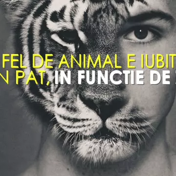 Ce fel de animal e iubitul tău în pat, în funcție de zodie