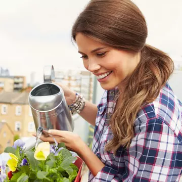 5 plante de apartament imposibil de ucis