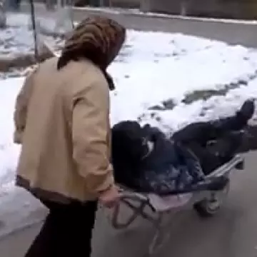 O femeie de la ţară îşi duce bărbatul beat acasă, într-o roabă. Continuarea este îngrozitoare