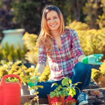 Cum să-ţi detoxifici ficatul cu mentă şi păpădie