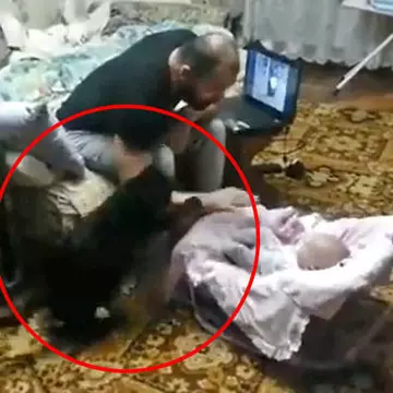 Fabulos! O pisică sare în apărarea unui bebeluş ”atacat” de tatăl lui | VIDEO