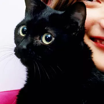 Astăzi este VINERI 13. Ce e bine să faci pentru a te feri de ghinion
