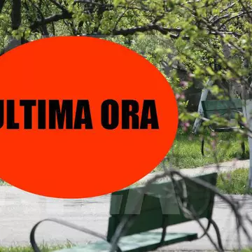 Cum arata mormântul Marioarei Zăvoranu