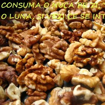 Ce se va întâmpla cu inima ta dacă vei consuma câte o nucă pe zi timp de o lună