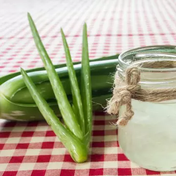 Elixirul miraculos cu aloe vera al Părintelui Romano Zago