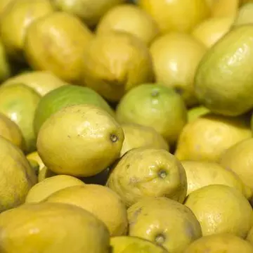   Dieta cu suc de lămâie de 14 zile
