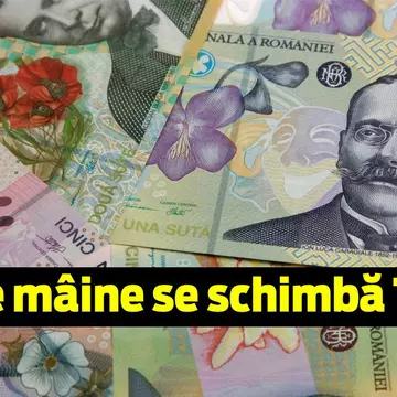 TVA de 9% la alimente intră, de luni, în vigoare