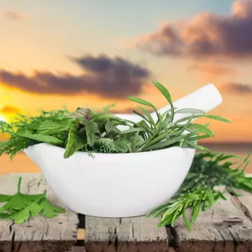 Plante care scad tensiunea arterială