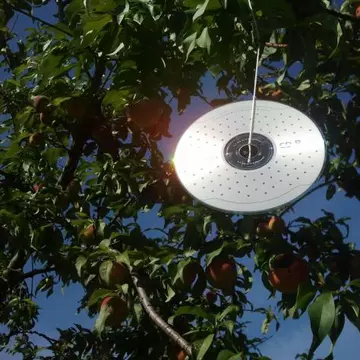 De ce să agăți vara un dvd în fața geamului deschis! Ce se întâmplă în casa ta, dacă faci asta