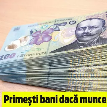 Bani de la UE pentru înființarea de livezi