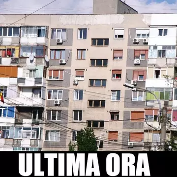 Amenzi pentru stăpânii ai căror câini latră noaptea  
