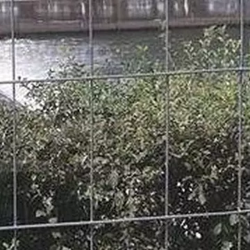 Nu a avut pic de ruşine! Cum a fost fotografiat un bărbat, lângă gardurile de la Untold Festival