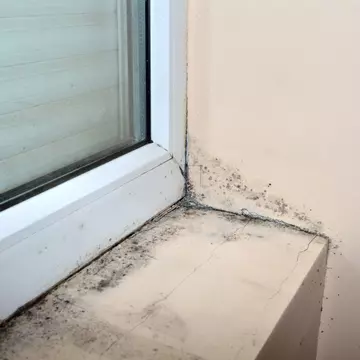 Semne că inhalezi aer cu mucegai