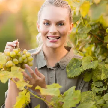 Remedii naturale pentru ten uscat, pe bază de struguri
