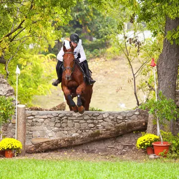 (P) Vineri începe Karpatia Horse Trials pe Domeniul Cantacuzino din Florești 