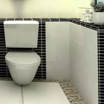 Cum cureți foarte ușor vasul de toaletă cu detergent de vase