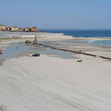 Localnicii din Mangalia au grijă de lebedele de pe plajă