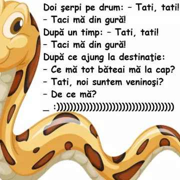 Bancul de miercuri. Doi serpi, tata si fiu, pe drum