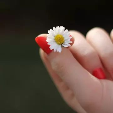 Gel antibacterian homemade cu ingrediente naturale