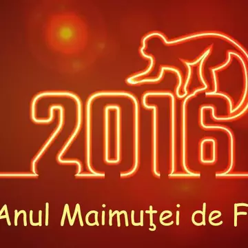 Anul Maimuţei de Foc. Cât de bine îţi va merge, în funcţie de anul naşterii