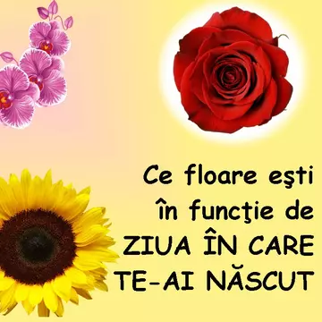 Alăstrea, mac, papucul doamnei? Află ce floare eşti în funcţie de ziua naşterii