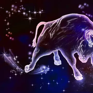 Scrisoare către un Taur