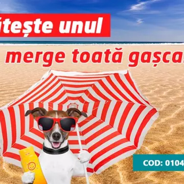(P) Plătește unul, merge toată gașca în Lefkada!