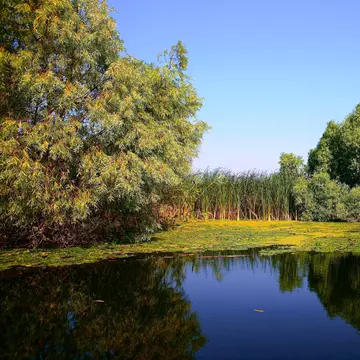 (P) Delta Dunării, ţinut unic în lume
