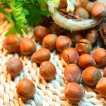 Testul nucilor. Ce spun nucile preferate despre tine