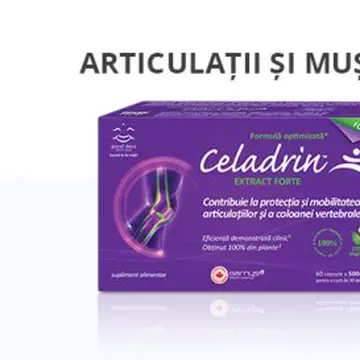 (P) 3 soluții avansate cu acțiune complexă pentru mobilitatea articulațiilor și coloanei vertebrale