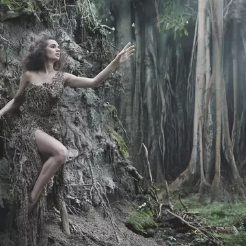 Horoscop celtic: Află ce dezvăluie arborele zodiei tale despre destinul tău