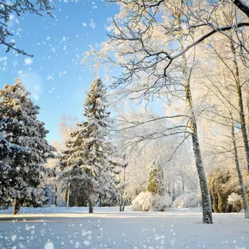 Cum va fi vremea în România până pe 15 ianuarie