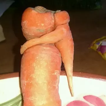 O îmbrățișare surprinzătoare. Iată ce a găsit un bărbat când gătea!