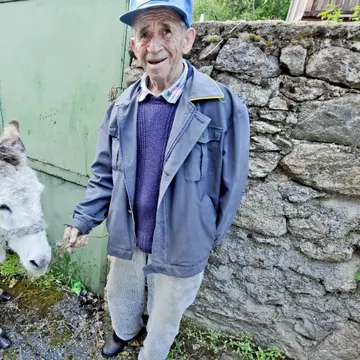 Cum au ajuns măgarii la putere