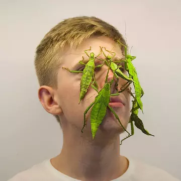 La doar 19 ani, un tânăr din Germania este cel mai important crescător de insecte din Europa