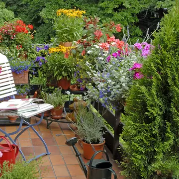 Grădinărit fără grădină. 3 lucruri simple care te ajută să transformi balconul într-o mini seră
