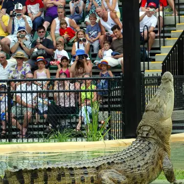 De ce văduva lui Steve Irwin, celebrul vânător de crocodili, nu s-a mai implicat în nicio relație după moartea soțului ei