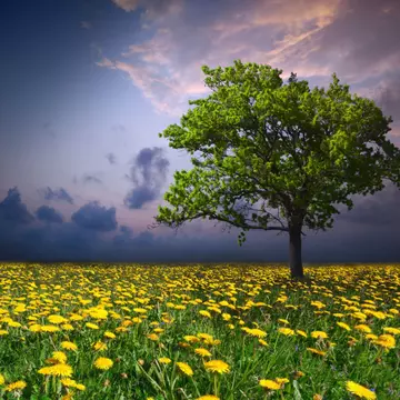 Top 5 zodii influențate de mini-Luna din iunie 2017