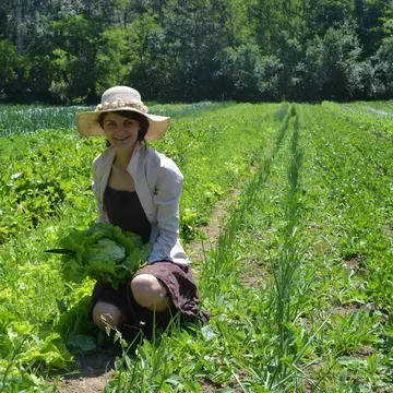 Abonament la fermă. Cum poți avea legume proaspete direct de la producător