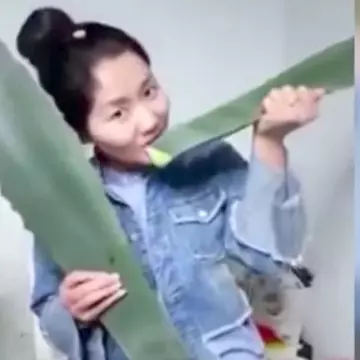 O femeie s-a otrăvit confundând aloe vera cu o plantă toxică