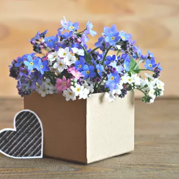 5 moduri creative în care poți refolosi o cutie de carton