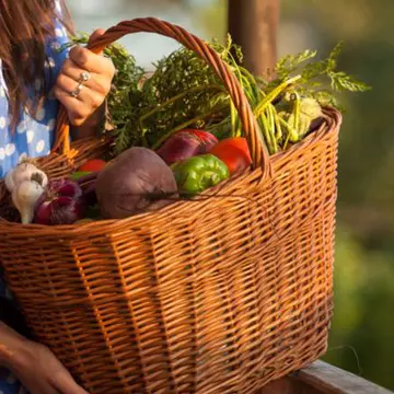 10 fructe și legume de toamnă care întăresc imunitatea