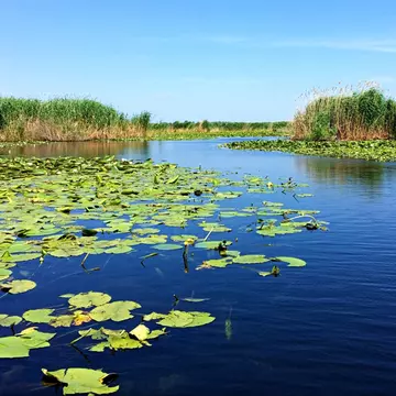 (P) Cea mai bună perioadă de vizitat Delta Dunării!