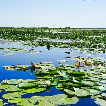 (P) Delta Dunării, raiul de smarald al Romaniei