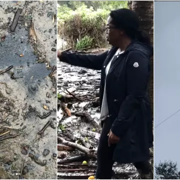 Oprah Winfrey, afectată de alunecările de teren devastatoare din California