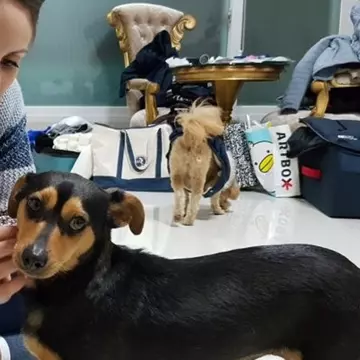 Câinele adoptat din Coreea i-a purtat noroc unei patinatoare vegane. A câștigat două medalii olimpice!