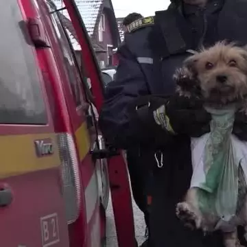 O tânără din Mureș a intrat în casa cuprinsă de flăcări pentru a-și salva cățelul