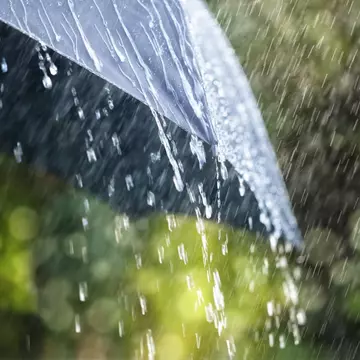 COD GALBEN de furtuni în București și mai multe județe