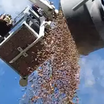 O ciocănitoare a umplut o antenă de telecomunicații cu 130 kilograme de ghinde VIDEO